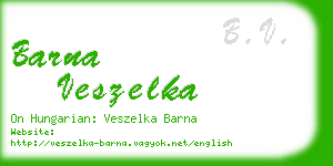 barna veszelka business card